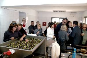 Prvić, 4. studenoga 2011. - obilazak uljare za preradu maslina u sklopu Poljoprivredne zadruge Šepurine čije je opremanje sufinanciralo Ministarstvo mora, prometa i infrastrukture